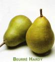 Offre Des Fruits