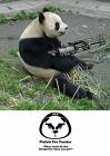 People With Guns