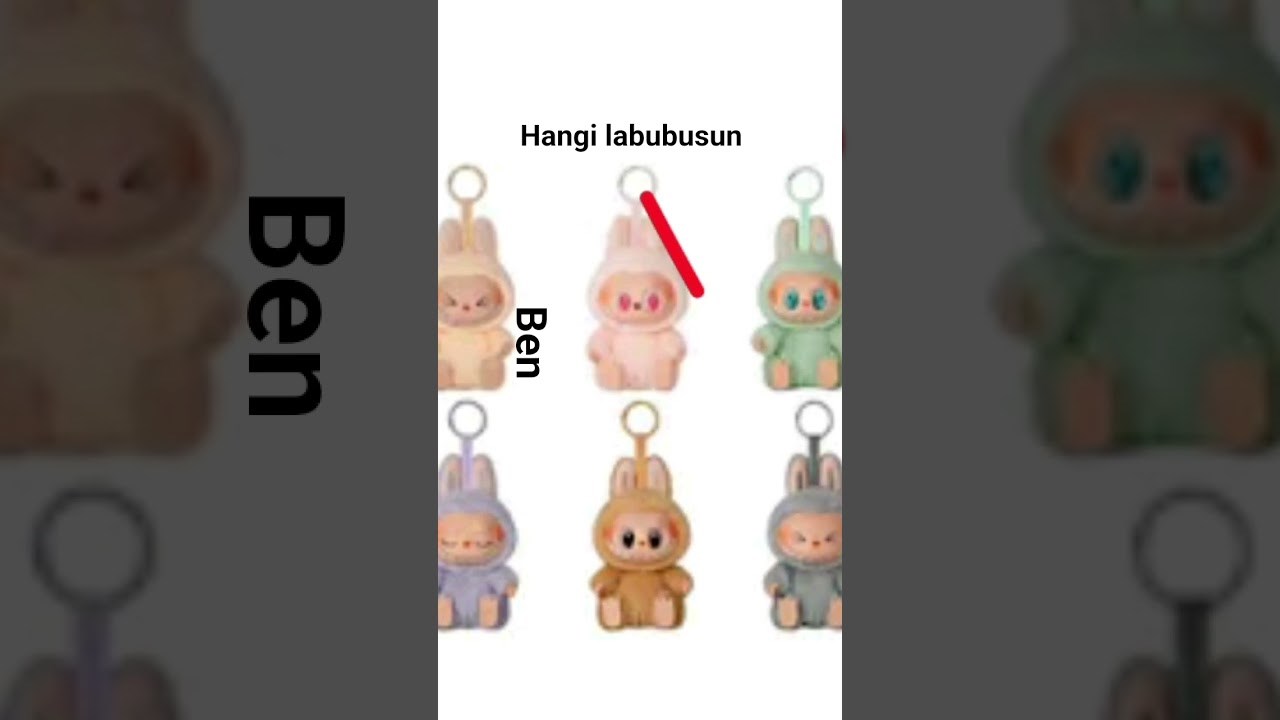 Hangi labubusun?