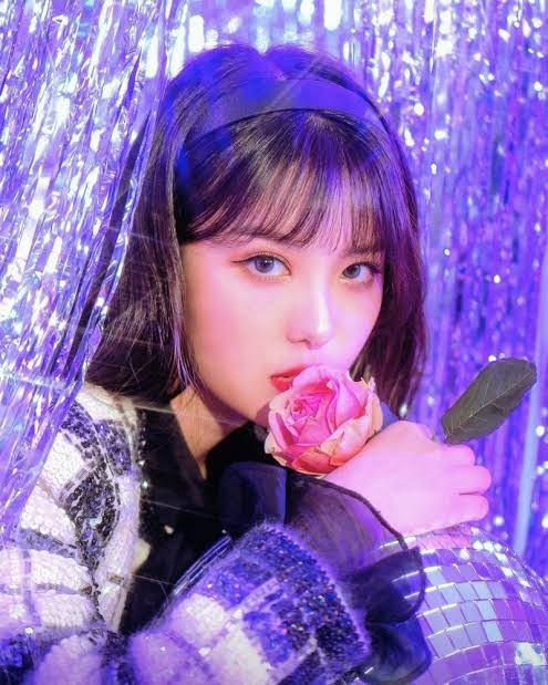 Ahin- momoland