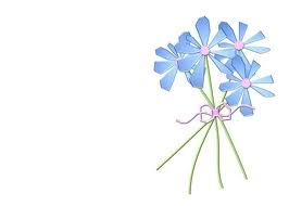Flower7