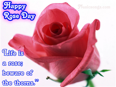 rose day