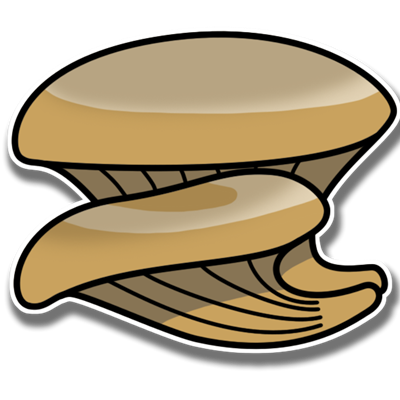 Pleurotus ostreatus