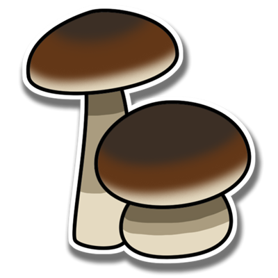 Boletus edulis