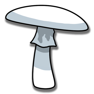 Amanita bisporigera