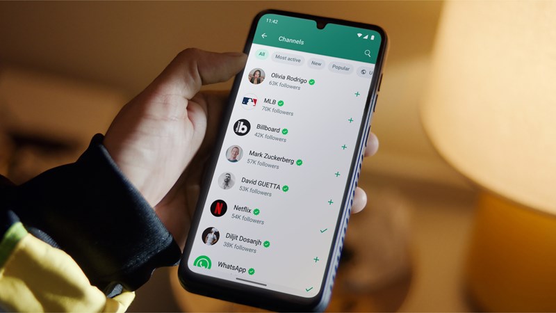 WhatsApp berguna untuk chattingan