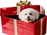 Regalos