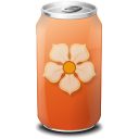 Gift 13