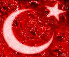 Profiline Türk Bayrağı Ekle