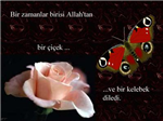 Arkdaşına Ne Gönderecen