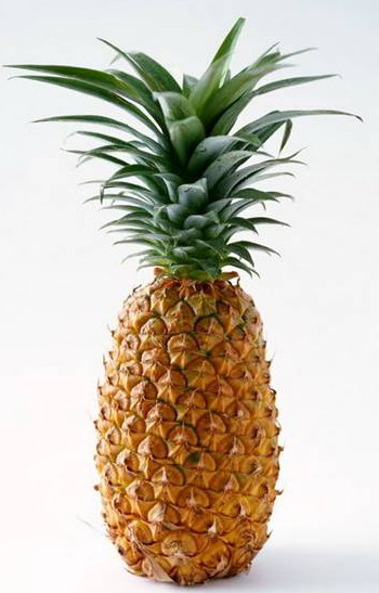 Pinapple!
