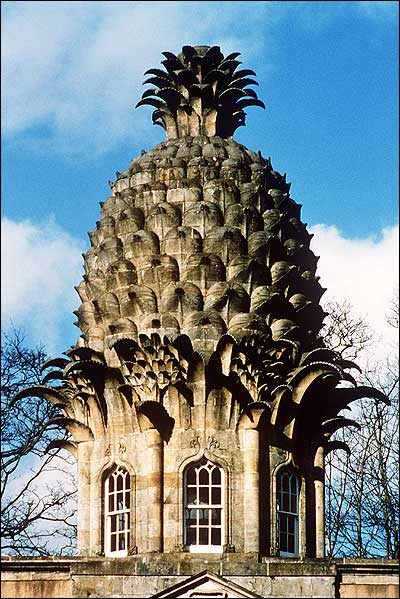 Pineapple House
