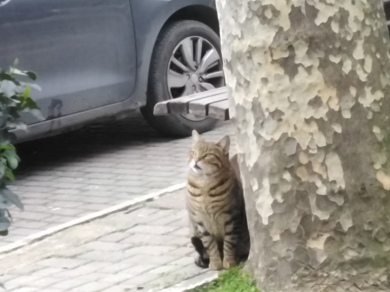 Ecrinle Dostmusun Düşman Mı