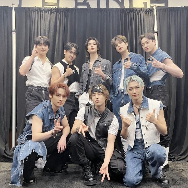 Hangi straykids uyesisin