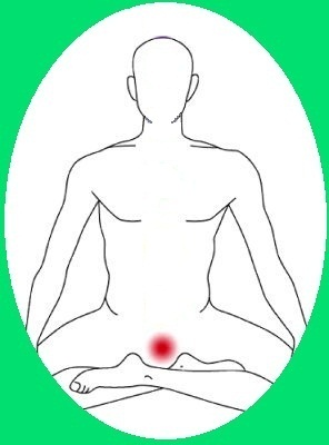 Base Chakra