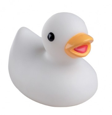 white duck