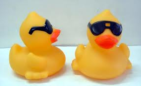cool duck