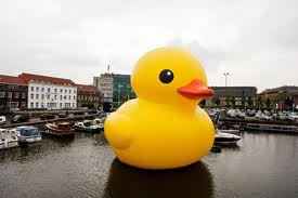 big duck