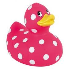 duck funny
