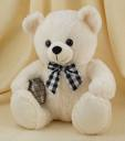 Free Teddy
