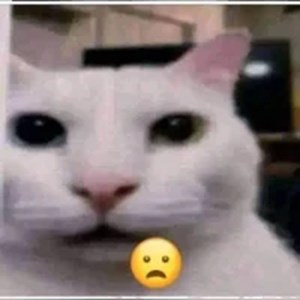 Kamu Jenis Mie Instan Apa?
