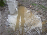 I Love The Rain