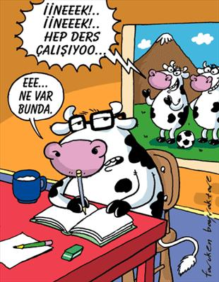 Hangi Öğrenci Tipisin