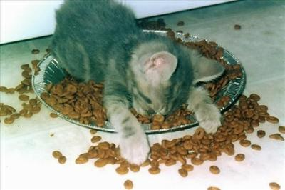 How Tired Are You?
