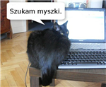 Rozdajemy Kopy Na Prawo I Lewo