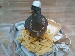 Gangster Pigeon