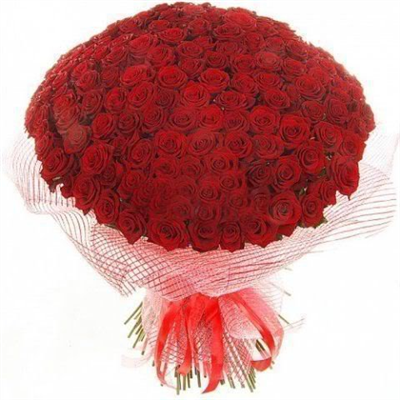 roses rouges