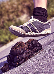 caca en el zapato