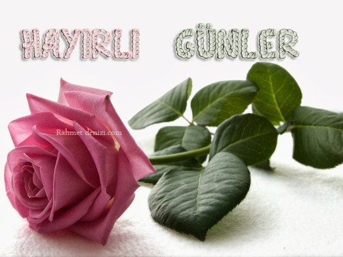 Hayırlı Günler