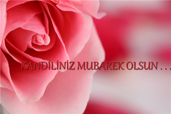  Kandiliniz Mübarek Olsun