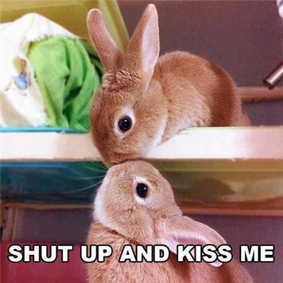 Romance
