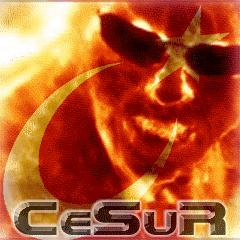 Cesur Musun?