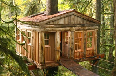 Tree House