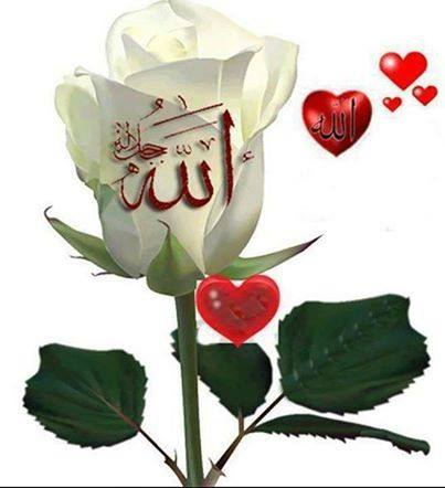 Love Of Islam