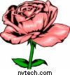 Tattoo You