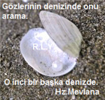 İnci