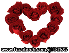 Corazon de Rozas