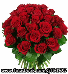 Rozas Rojas