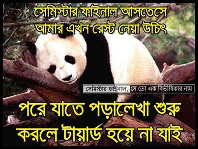 Du তে পড়ে তুমি কি পেলে?