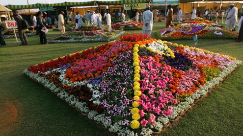 Flower show