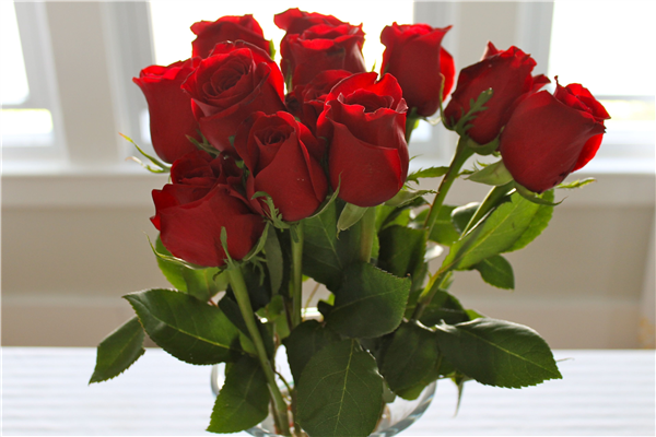 Red Roses