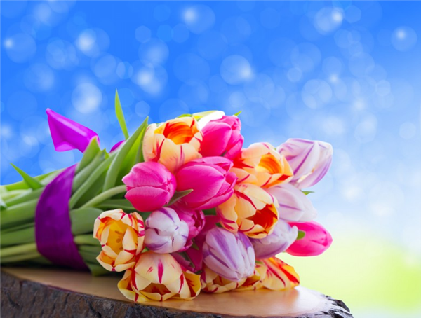 Beautiful Flowers