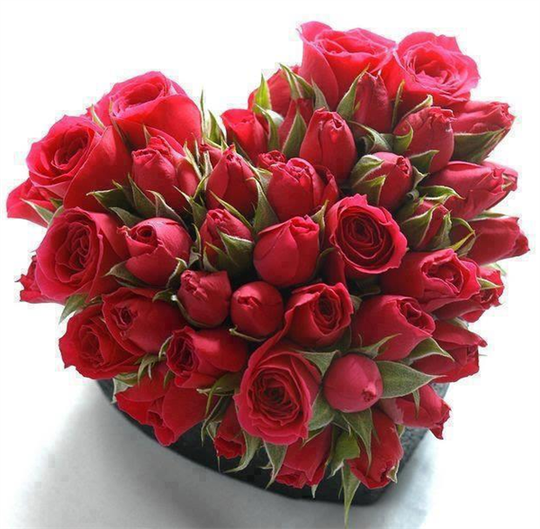 Roses
