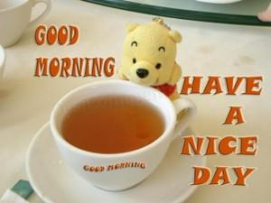 good morning
