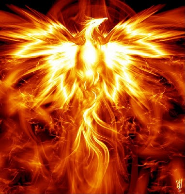 phoenix 