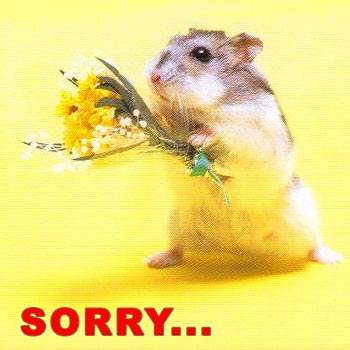 SORRY 1